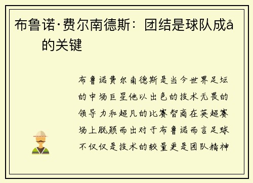 布鲁诺·费尔南德斯：团结是球队成功的关键