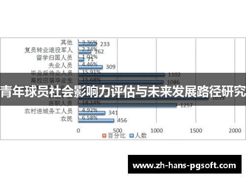 青年球员社会影响力评估与未来发展路径研究