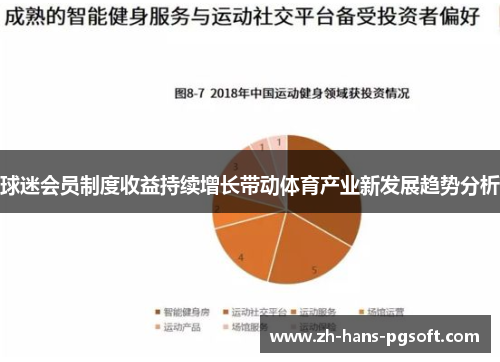 球迷会员制度收益持续增长带动体育产业新发展趋势分析