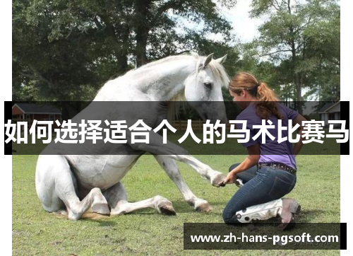 如何选择适合个人的马术比赛马