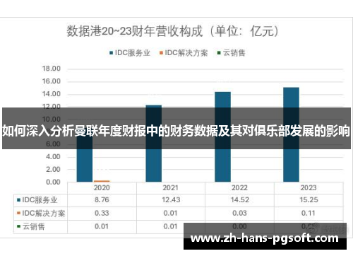 如何深入分析曼联年度财报中的财务数据及其对俱乐部发展的影响
