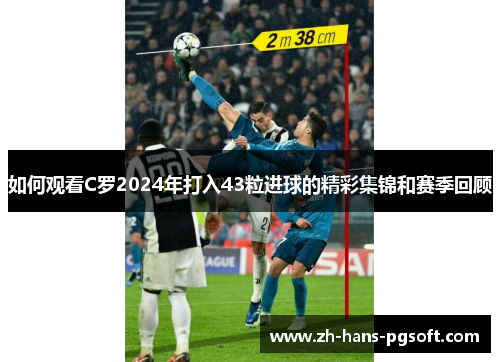 如何观看C罗2024年打入43粒进球的精彩集锦和赛季回顾