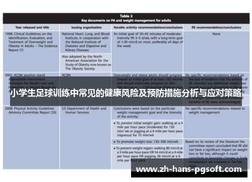 小学生足球训练中常见的健康风险及预防措施分析与应对策略