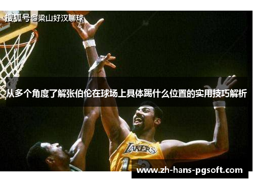 从多个角度了解张伯伦在球场上具体踢什么位置的实用技巧解析 从多个角度了解张伯伦在球场上具体踢什么位置的实用技巧解析