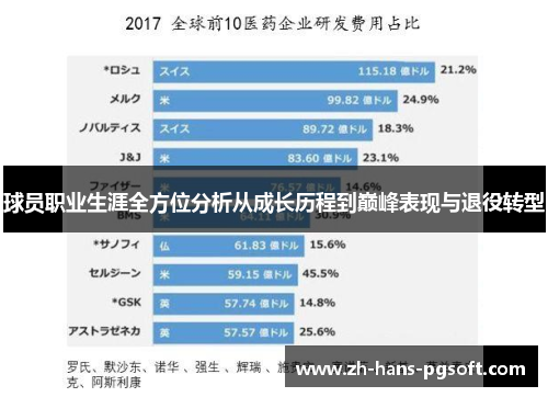 球员职业生涯全方位分析从成长历程到巅峰表现与退役转型 球员职业生涯全方位分析从成长历程到巅峰表现与退役转型