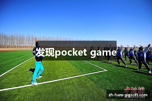 发现pocket game